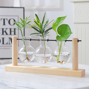 水培植物玻璃花瓶摆件客厅桌面，插花水养花卉绿植容器水生盆栽器皿