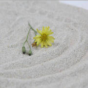 白沙子细沙天然海沙儿童玩具沙宝宝沙子沙池投影沙无尘