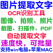 pdf图片电子版文档格式转成转文字，转换成提取文本批量ocr识别软件