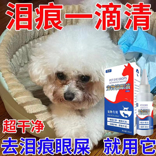 狗狗白内障滴眼液宠物猫咪专用眼药水老年犬抑初期角膜炎日本千寿