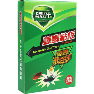 绿叶蟑螂粘板含引诱蟑螂信息素 捕蟑器 强力蟑螂粘贴 盒装20片