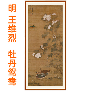 国画牡丹花客厅装饰画字画书画，挂画花鸟王维烈牡丹，图鸳鸯挂轴装裱