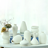 欧式陶瓷花瓶组合ins风创意，白色素(白色素，)烧工艺品家居装饰摆件水培花瓶