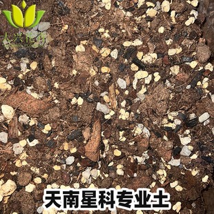天南星科营养土室内植物竹芋海芋龟背竹秋海棠万年青白掌热植土