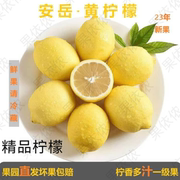 四川特产安岳黄柠檬(黄柠檬，)一级果当季新鲜水果产地速发整箱坏果包赔