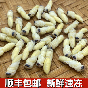 云南特产野生蜂蛹鲜新冷冻马蜂葫芦蜂拥，幼蜂油炸烧烤500g