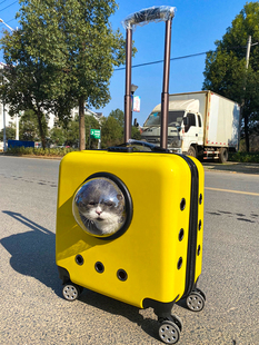 猫箱子宠物拉杆箱猫包行李箱外出便携透明航空箱猫咪包拉杆箱推车