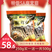 鹿茸菇干货无碎2023年新干货500g鹿茸菌云南野生菌美味食材鹿绒菌