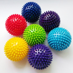 触觉球 感统训练器材 治自闭症 小按摩球 感统球硬按摩球瑜伽球