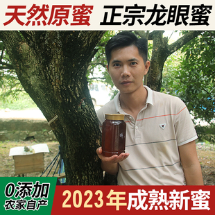 2023年新蜜2斤农家自产纯天然野生龙眼蜜滋补春蜜广西纯正土蜂蜜