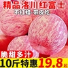 陕西洛川苹果10斤新鲜水果红富士，当季整箱冰糖心脆甜苹果价