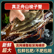 不要清蒸请烧炒舟山梭子蟹冷冻超大新鲜海螃蟹海蟹白蟹飞蟹