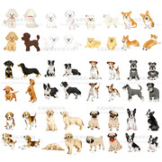 卡通手绘各种宠物狗贵宾，犬太低柯基博美金毛法斗犬，等矢量设计素材
