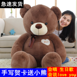 抱抱熊女生大号泰迪熊公仔熊猫，毛绒玩具熊，1.6米狗熊可爱生日礼物