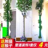 仿真竹子树皮塑料假花藤条植物包下水管道装饰暖气管燃气遮挡阳台