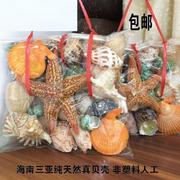 天然大贝壳大海星珊瑚石工艺品装饰品道具鱼缸造景贝壳摆
