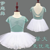 幼少儿童舞蹈服练功服女童长，短袖芭蕾舞考级服中国舞跳舞衣服秋季