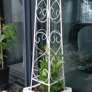 欧式铁艺花架落地式植物爬藤架，做旧攀爬架户外庭院阳台铁线莲支架