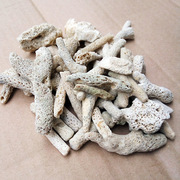 珊瑚骨鱼缸滤材珊瑚石海鲜池珊瑚砂水族造景过滤材料鱼池砂底砂石