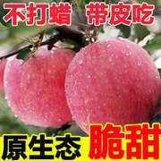 正宗陕西洛川苹果水果新鲜整箱当季红富士现发冰，糖心脆甜10斤