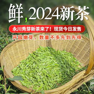 针秀永川秀芽2024新茶叶(新茶叶)绿茶明前茶特级散茶正宗重庆永荣茶厂