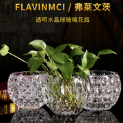 欧式绿萝水培植物透明玻璃，花瓶家用客厅装饰品水养插花器皿摆件