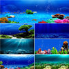 鱼缸背景贴纸画3d立体高清图画，壁纸水族箱背景，纸海底世界造景装饰