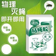 绿叶粘蝇胶板苍蝇贴强力杀沾蝇子纸