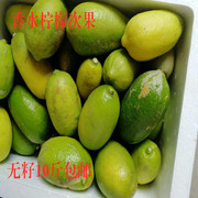 新鲜柠檬无籽香水柠檬广西四季柠檬，二级果丑果台湾香柠10斤