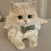 猫咪衣服秋装薄款布偶猫幼猫奶猫，小猫裙子公主裙猫猫圣诞围脖项圈
