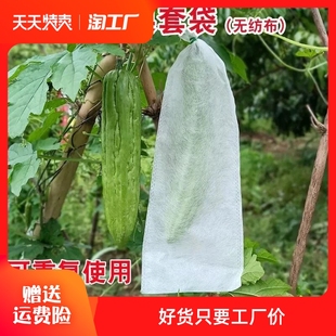 苦瓜丝瓜黄瓜青瓜套袋专用袋防虫袋子保护套纸袋防水瓜果蔬菜水果