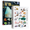 2册矿物与岩石完全图鉴+矿物宝石大图鉴，学会辨认各种矿物与岩石自然科学，学生成人的家庭拓展阅读自然科普类爱好者书籍