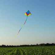 追风者冲天追风筝成人大型高档伞布碳杆风筝带尾大风放飞稳定