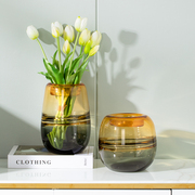 美式玻璃花瓶透明水养鲜花插花器干花装饰品，摆设现代简约客厅摆件