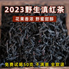 2023新茶云南云南野生古树滇红茶正宗特级浓香型红茶叶自己喝250g