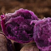 新鲜紫薯低脂粗粮番薯地瓜，蜜薯净重10斤现挖现发香甜软糯紫薯