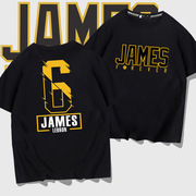 勒布朗詹姆斯短袖100%纯棉，t恤男女james湖人6号篮球衣宽松运动衣