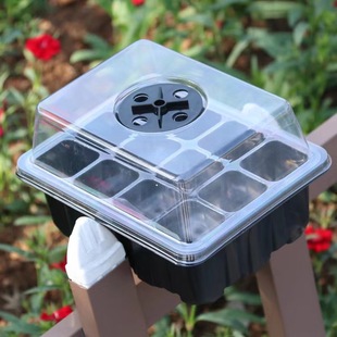 12孔透气育苗盒，三件套植物培养扦插播种盆，保湿温盒子育苗盘穴盘