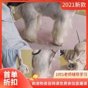 日韩萌系宠物美容师教学视频约克夏木偶装身上修剪课程