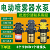 农用电动喷雾器水泵12v电机，高压打药机配件马达大功率自吸泵