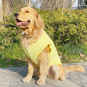 狗狗衣服背心夏季薄款金毛，萨摩耶边牧夏天透气中型大型犬宠物夏装