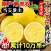 四川安岳黄柠檬(黄柠檬)9斤新鲜水果，奶茶店专用皮薄，大果非香水柠檬无10籽