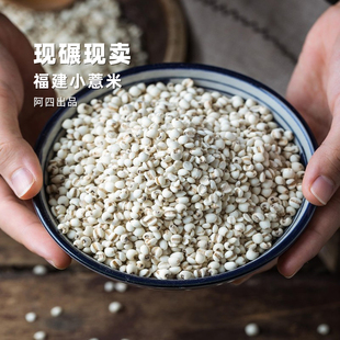 现碾壳的米又香又糯~2斤福建小薏米仁 杂粮糙薏仁米茶~麸炒磨粉