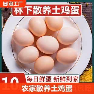 农家散养土鸡蛋10枚新鲜初生蛋，谷物蛋农村柴鸡蛋，笨鸡蛋40g枚