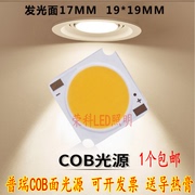 led灯珠芯片筒射灯轨道，灯光源17mm发光面10w30w外径19mm正方形cob