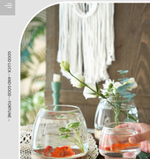 日式简约创意透明玻璃花瓶插花水养植物绿萝水培玻璃花瓶桌面摆件