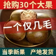 快速罗汉果干果广西桂林特产非野生永福罗汉果花茶