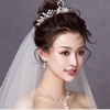 主纱项链韩式结婚礼服锁骨，链耳环二件套水钻，大气婚纱配饰品气质