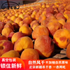 沙漠玉珠新疆特产伊犁树上干杏500g自然风干一杏两吃零食真空包装
