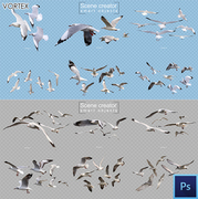 海鸥飞翔鸟群海鸟，翱翔园林景观设计图，鸟类psd分层源文件素材